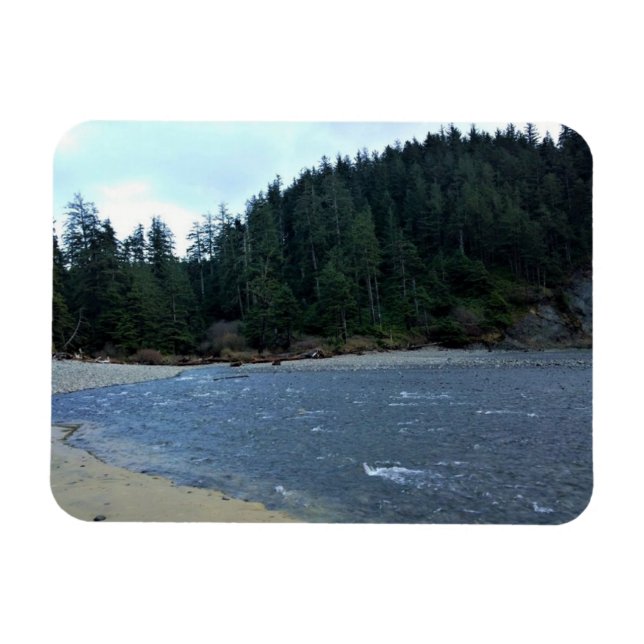 Oswald West State Park, Oregon Coast Magnet (Horizontal)