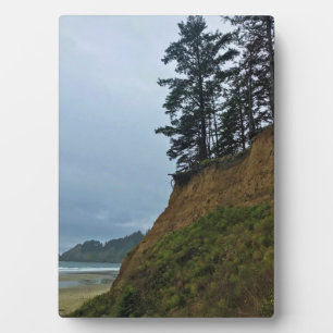 Oswald West State Park, Oregon Coast Plaque