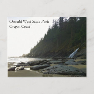 Oswald West State Park, Oregon Coast Postcard