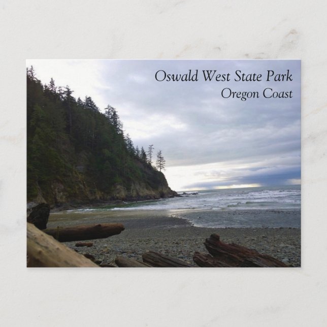Oswald West State Park, Oregon Coast Postcard (Front)