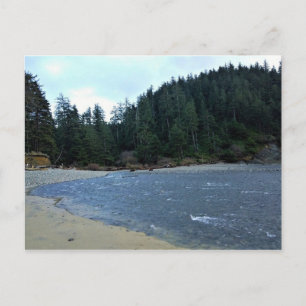 Oswald West State Park, Oregon Coast Postcard