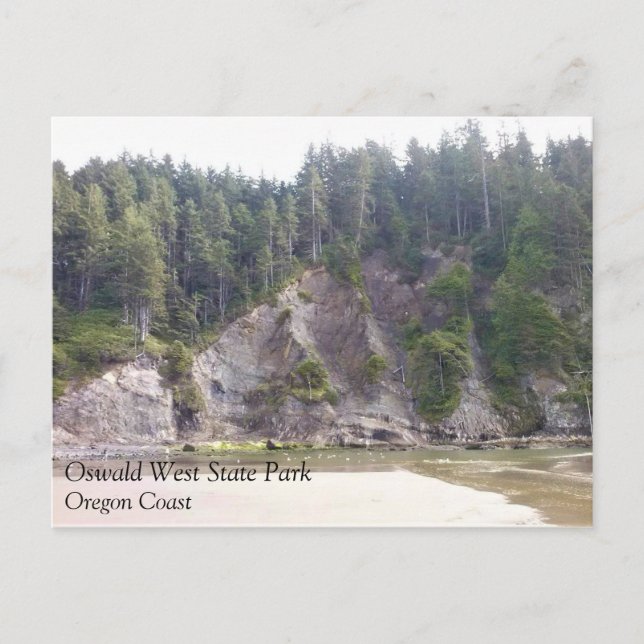 Oswald West State Park, Oregon Coast Postcard (Front)