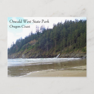 Oswald West State Park, Oregon Coast Postcard