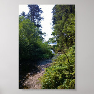 Oswald West State Park, Oregon Coast Poster