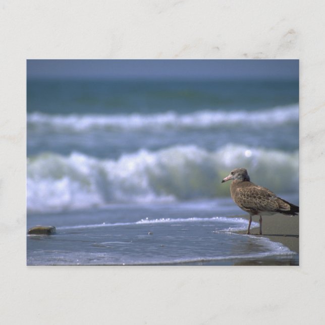 other side of sea postcard (Front)