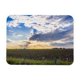 Other Sunset Magnet