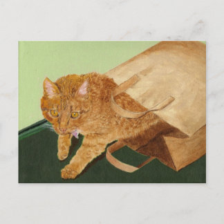 Otis the Cat Postcard