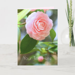 Otome-tsubaki: Camellia [Greeting Card] Card