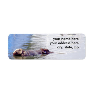 Otter
