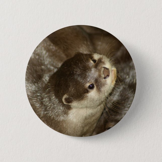 Otter 6 Cm Round Badge (Front)