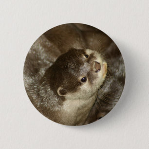 Otter 6 Cm Round Badge