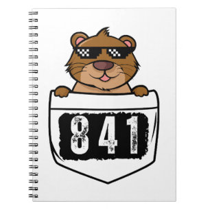 Otter 841 notebook