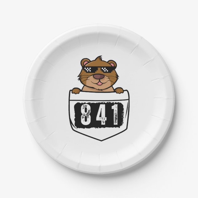Otter 841  paper plate (Front)
