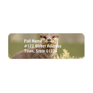 Otter Address Labels