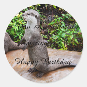 Otter Amazing Happy Birthday, Round Stickers. Classic Round Sticker