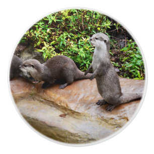 Otter Be Speaking To Me, Ceramic Knob