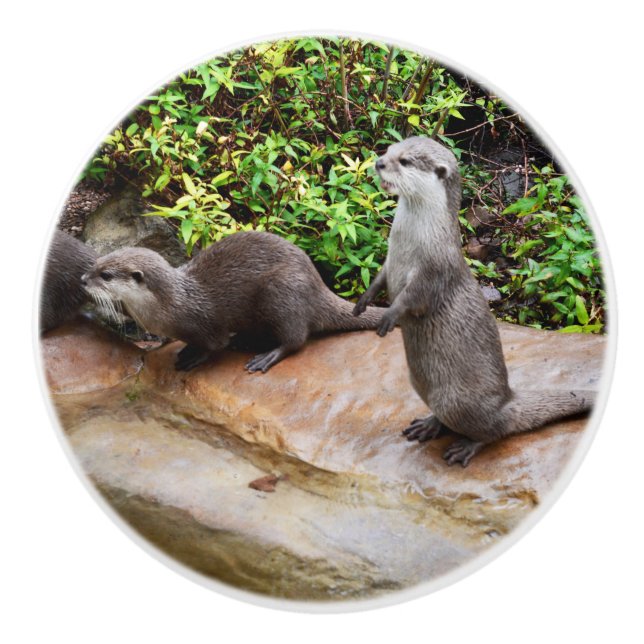 Otter Be Speaking To Me, Ceramic Knob (Front)