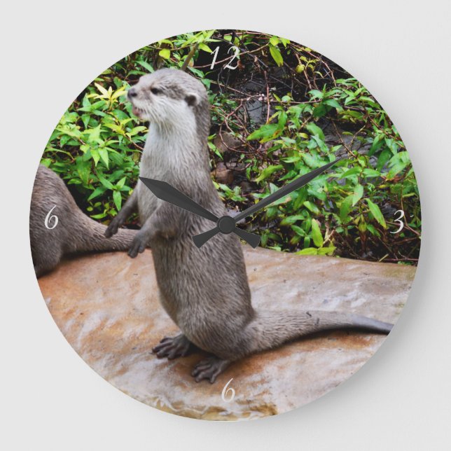 Otter Be Talking Large Round Wall Clock. Clock (Front)