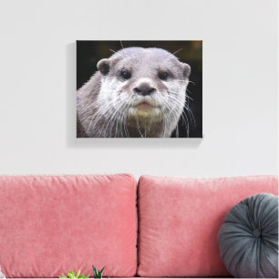 Otter  canvas print