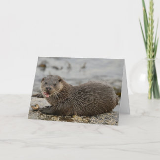 Otter Card