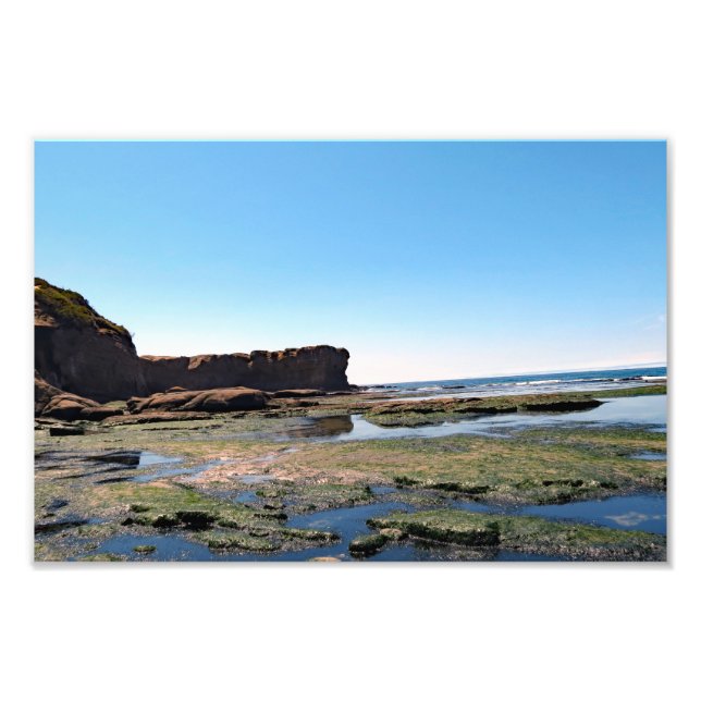 Otter Crest Beach Oregon  Photo Print (Front)
