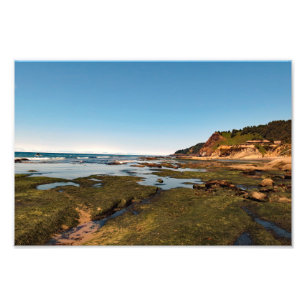 Otter Crest Beach Oregon  Photo Print
