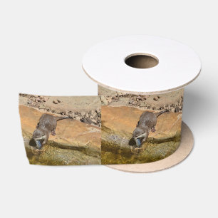 Otter Eating Otterly Delicious Fish, Satin Ribbon