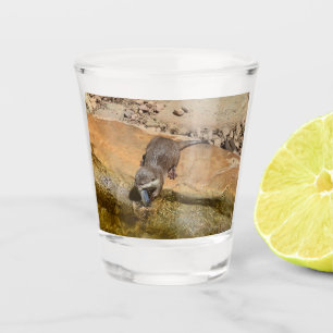 Otter Eating Otterly Delicious Fish, Shot Glass