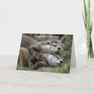 Otter Friends Forever Friendship Card