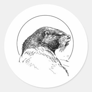 OTTER LABEL