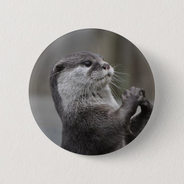 Otter Mastermind Button (Front)