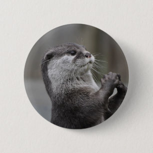 Otter Mastermind Button