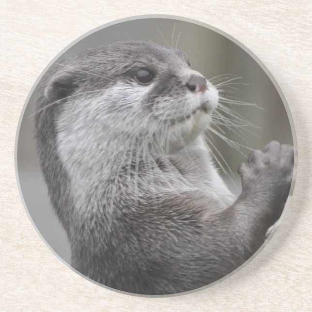 Otter Mastermind Coaster (Front)