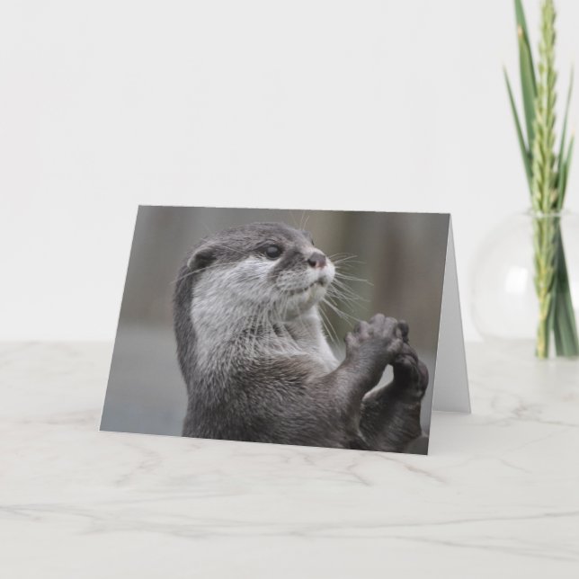 Otter Mastermind Greeting Card (Front)