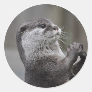 Otter Mastermind Sticker