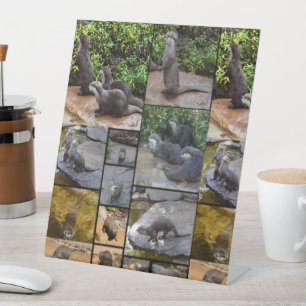 Otter Photo Collage, Pedestal Sign