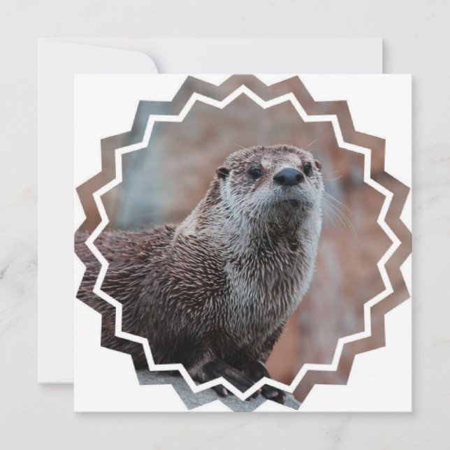 Otter Photo Invitation (Front)