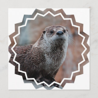 Otter Photo Invitation