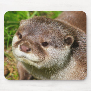 Otter Portrait....... Mouse Pad