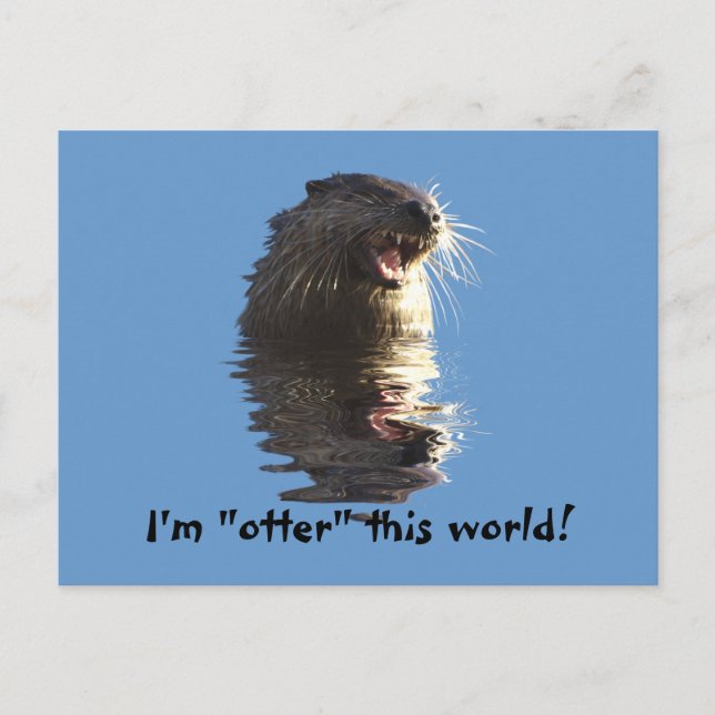 OTTER Post Card (Front)