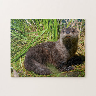 Otter Pup Yellowstone. Jigsaw Puzzle