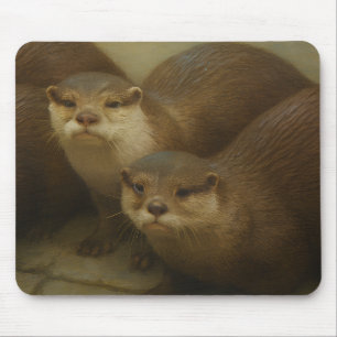Otter Quartet – Playful Wildlife Art Print Mouse Pad