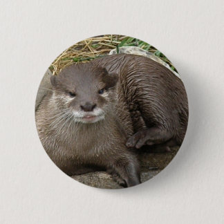 Otter Resting Button