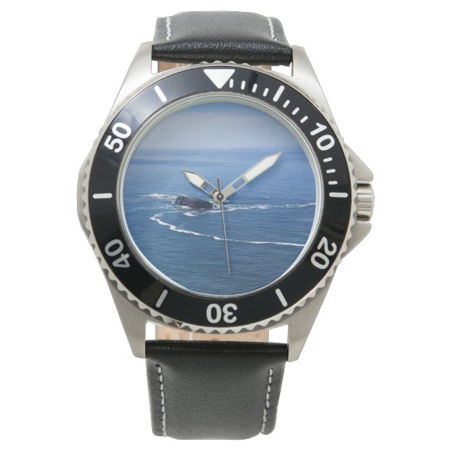 Otter Rock, Cape Foulweather, Newport, Oregon Watch (Front)