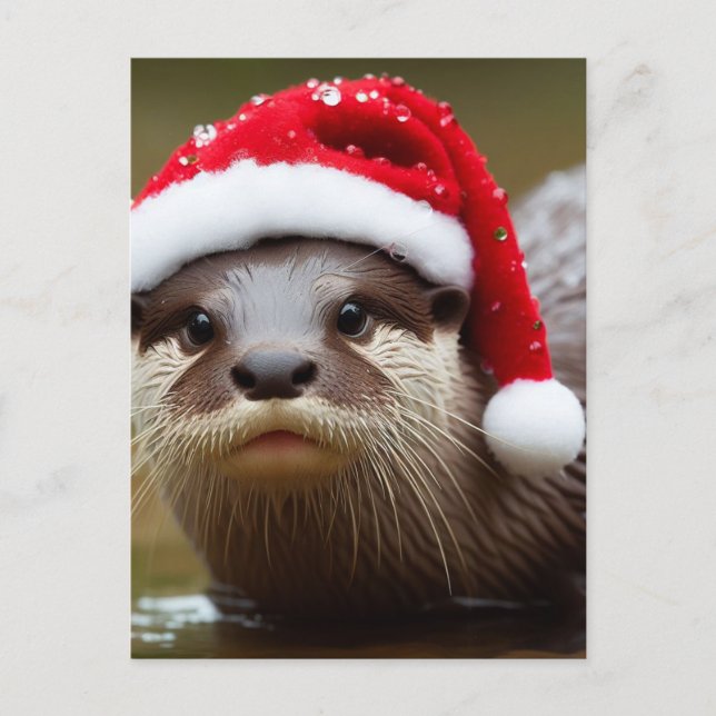 Otter Santa Hat Adorable Postcard (Front)