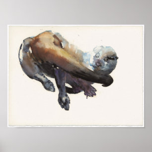 Otter Study I - 'Talisker' Poster