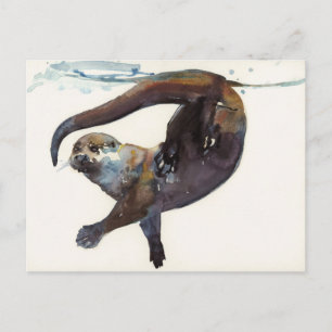 Otter Study II -'Talisker' Postcard
