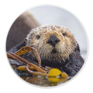 Otter Surprise Knob