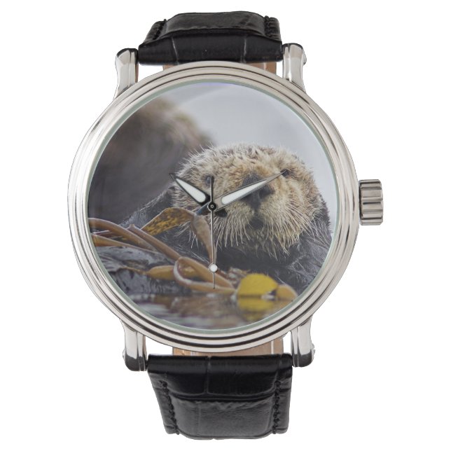 Otter Surprise Watch (Front)
