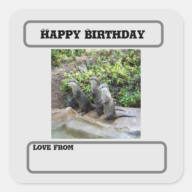 Otter Triplets, Birthday  Square Sticker (Front)